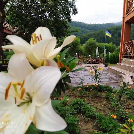 Bilovoddya Hotel Sil ภายนอก รูปภาพ