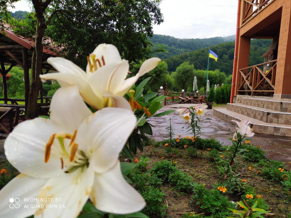 Bilovoddya Hotel Sil ภายนอก รูปภาพ